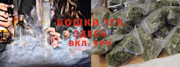 соль ск Алексин