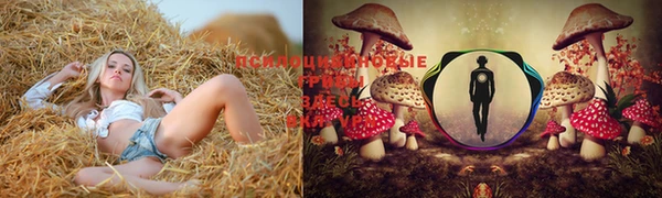 мяу мяу кристалл Алексеевка