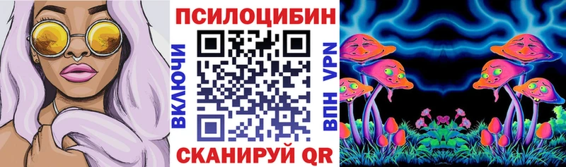 Псилоцибиновые грибы Psilocybe  Баймак 